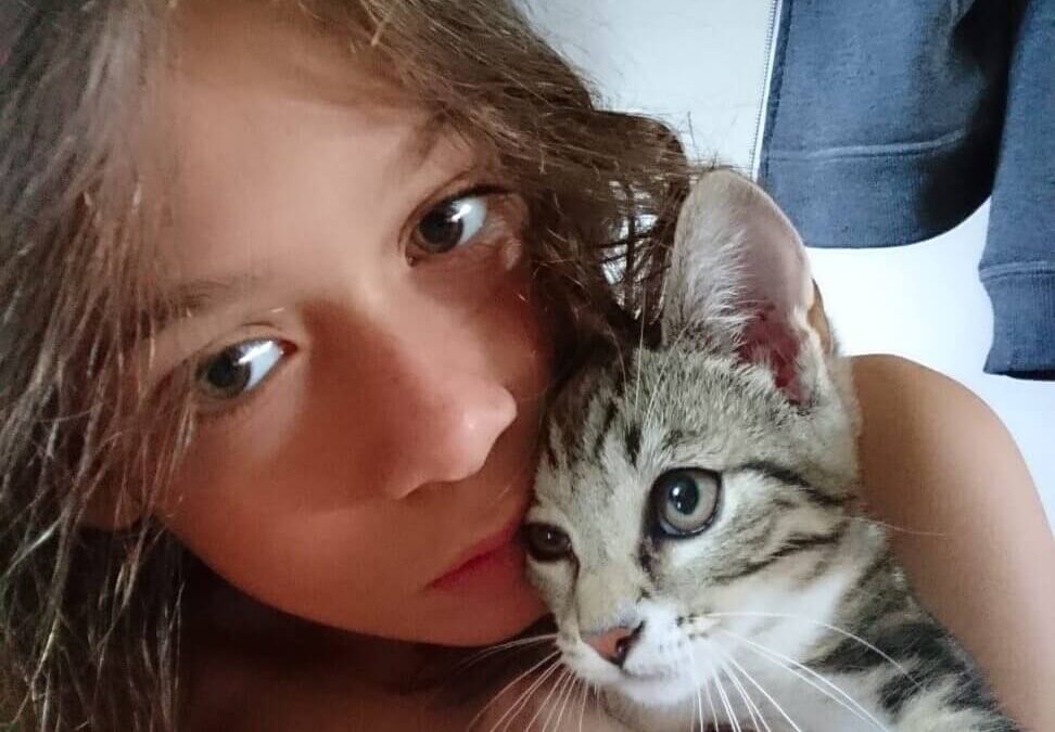 Felt Sense & Flow: A Gentle Practice for Inner Clarity